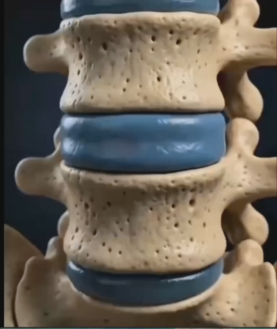 Animated demonstration of the lumbar spine illustrating how the NACRE FORM™ inflatable lumbar decompression belt is designed to provide adjustable air-cushion support around the lower back, showing the positioning of the vertebrae and discs during a visual explanation of lumbar support.